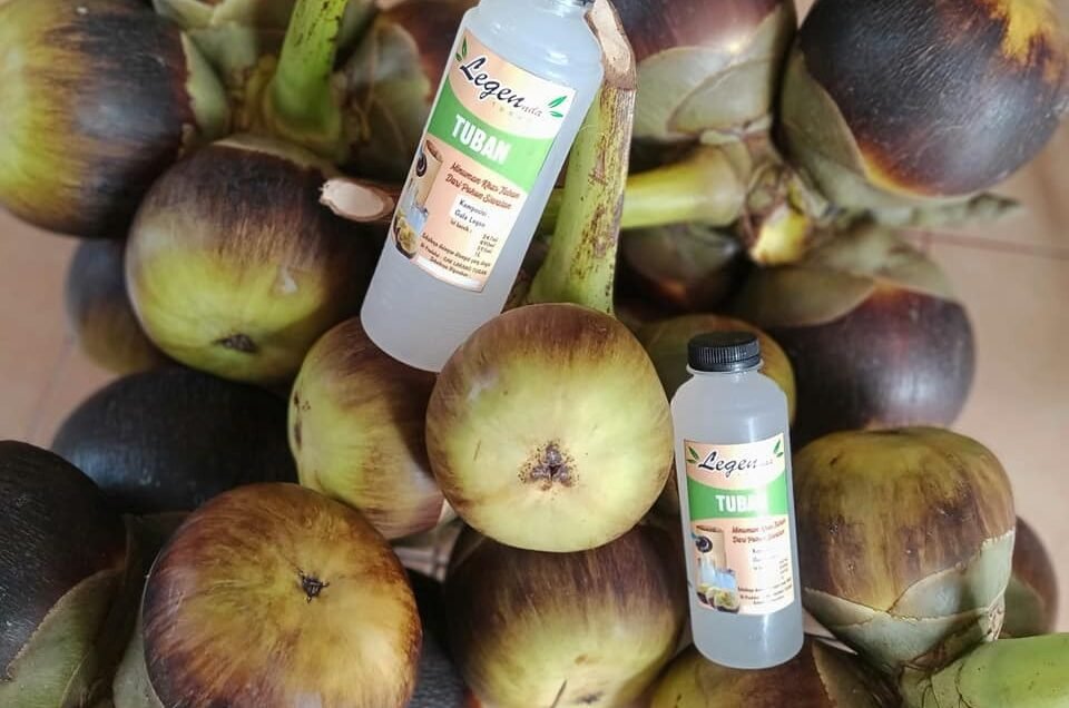 Indonesia’s ‘tree of life’